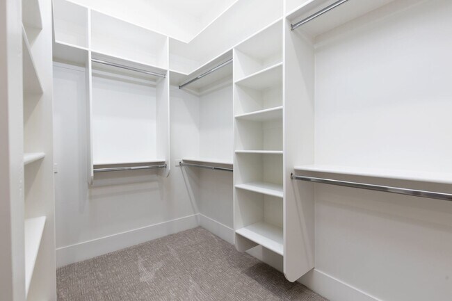 Building Photo - 6 bed / 4 bath / 3 car garage custom home in Pecan Valley