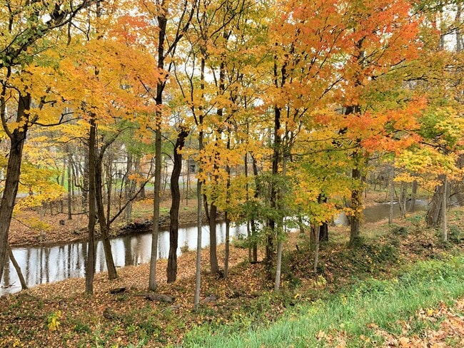 Building Photo - 148 Campbell Ave