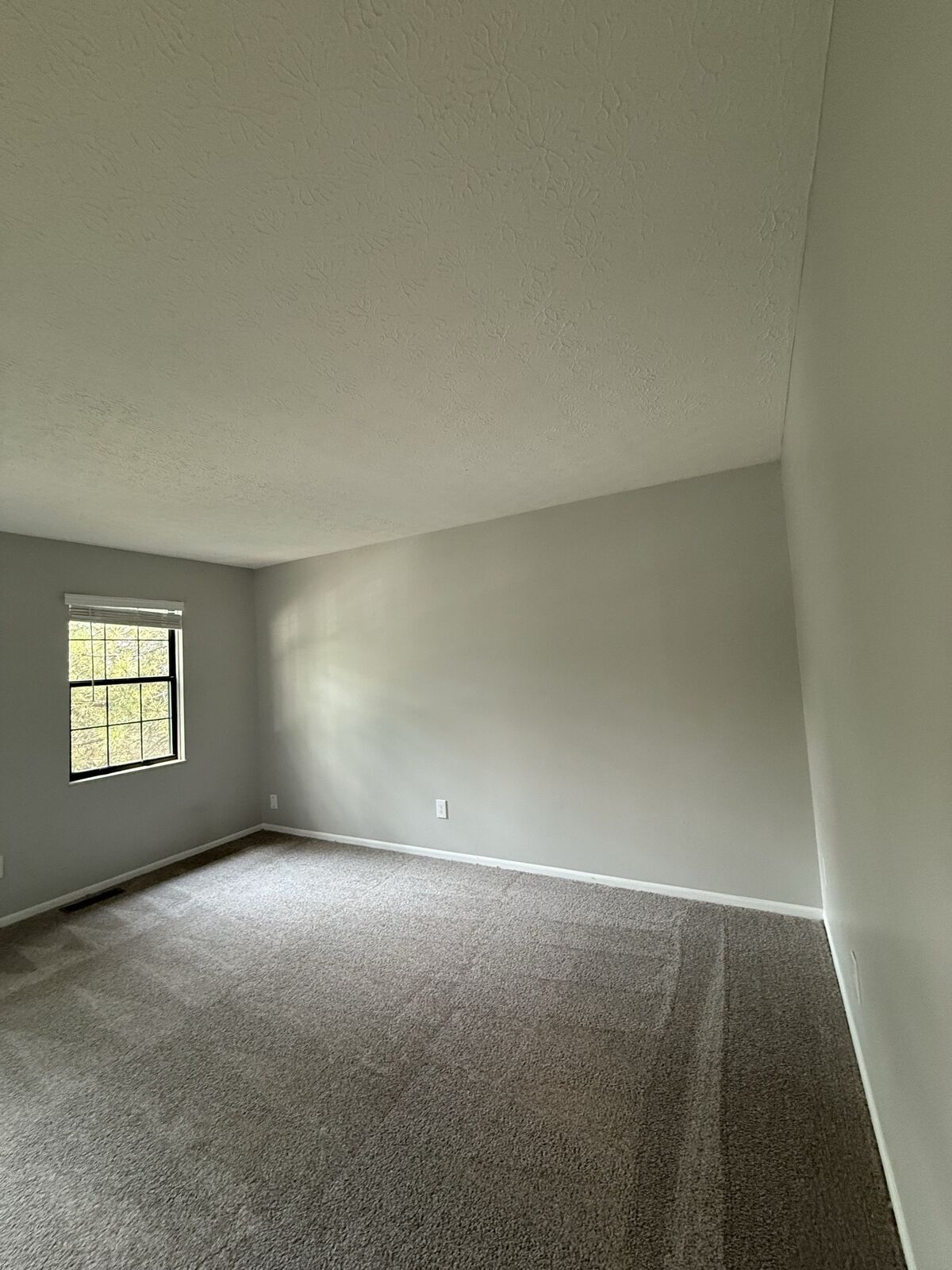 Building Photo - 146 Blakeford Dr