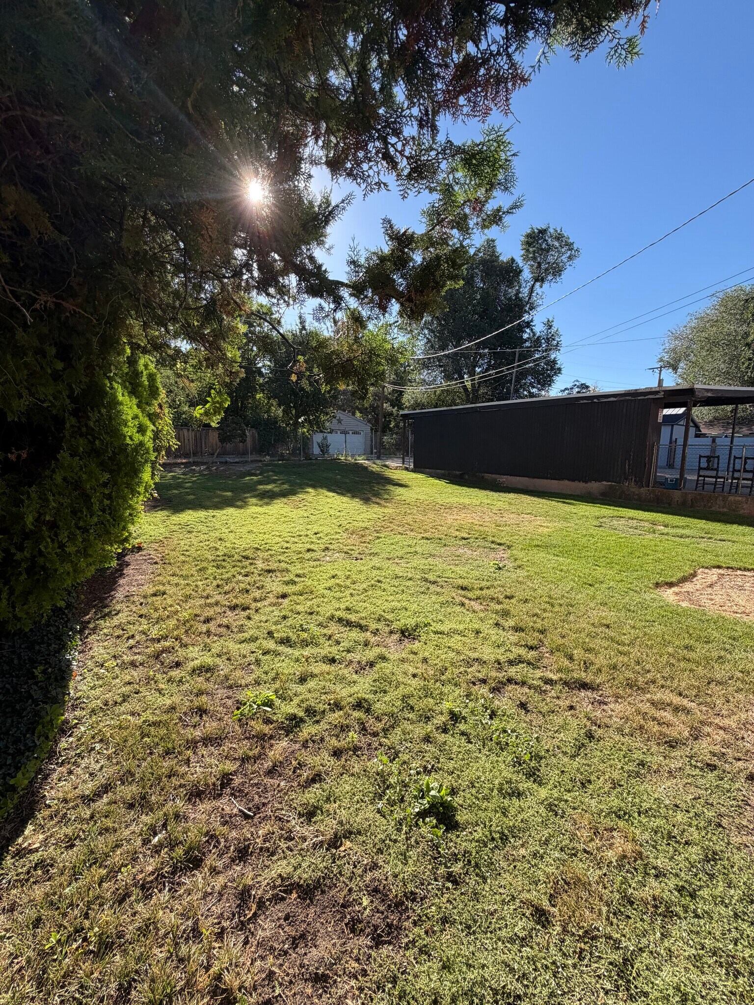 Backyard - 1035 S 800 E