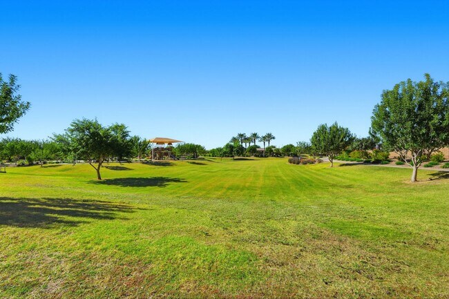 Building Photo - Gated Community Amazing ameneties