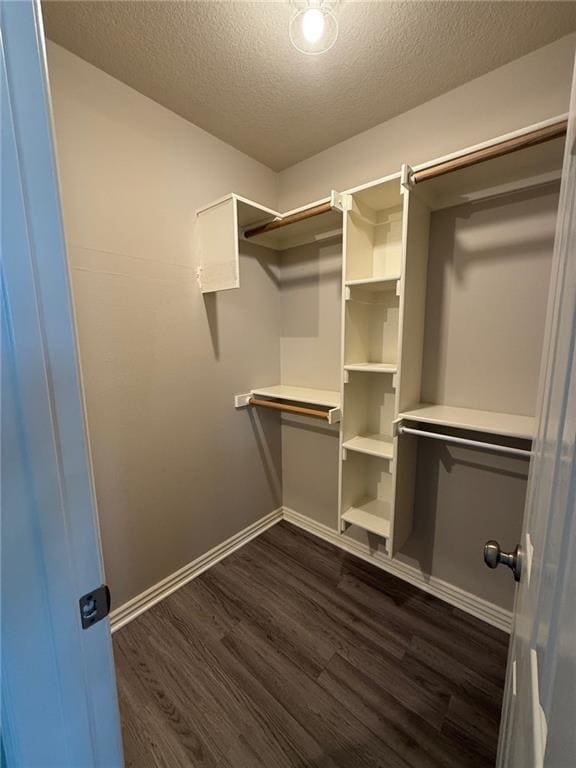 Building Photo - 1808 Lancaster Dr