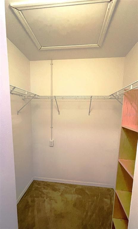 Building Photo - 66 Wylam Dr