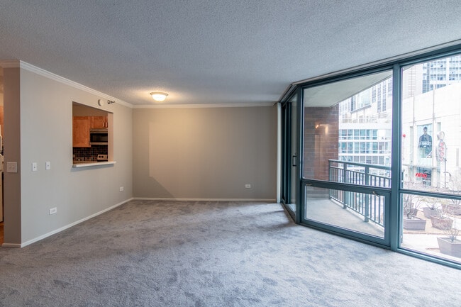 Building Photo - 480 N McClurg Ct