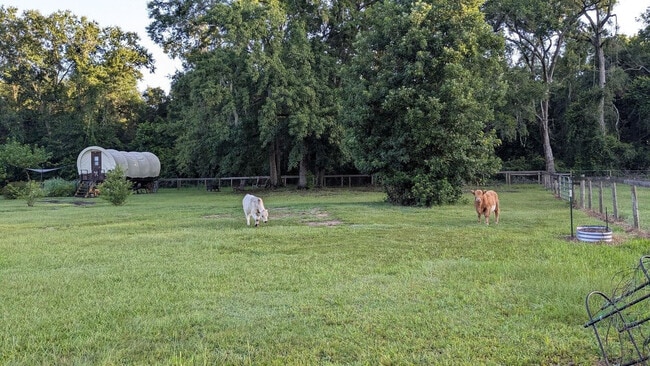 Building Photo - 1208 County Rd 315