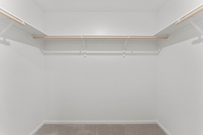 Building Photo - 706 Umbrella Tree Dr
