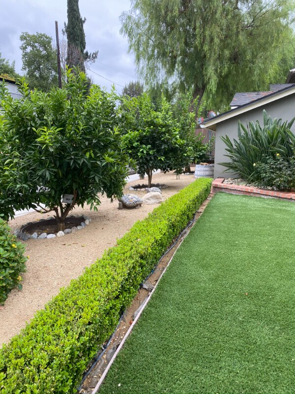 Building Photo - 21902 San Miguel St