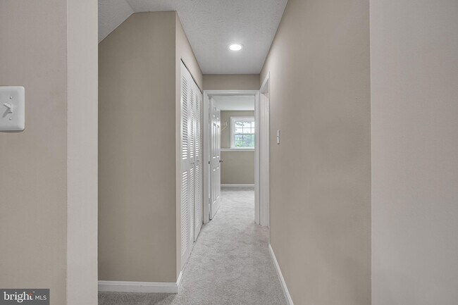 Building Photo - 8101 Chelaberry Ct