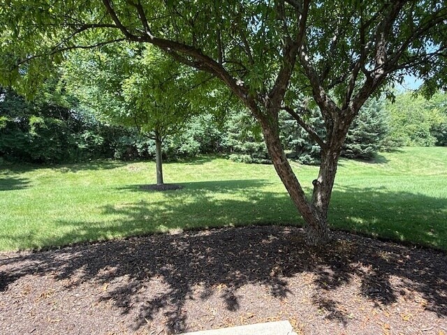 Building Photo - 216 Brompton Ln