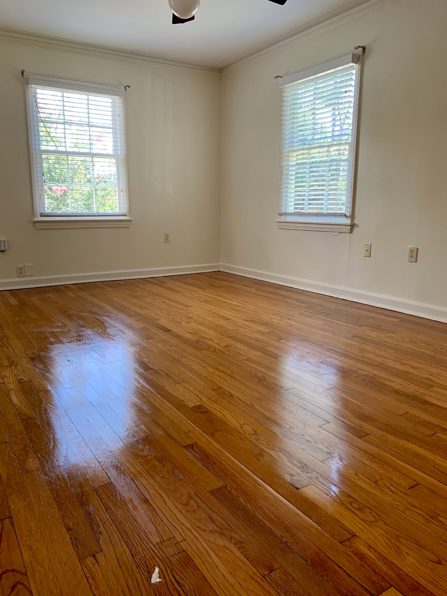 Building Photo - 2631 Rittiner Dr