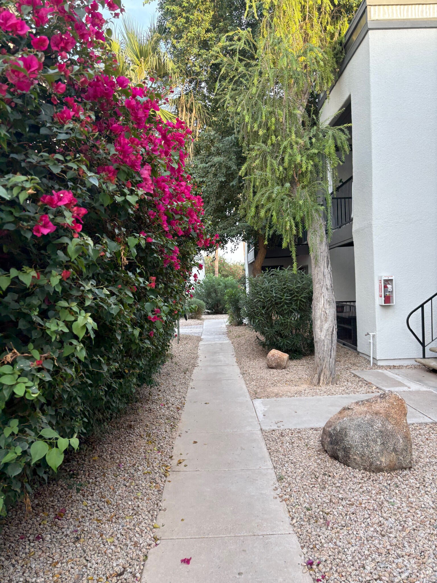 Building Photo - 740 W Elm St