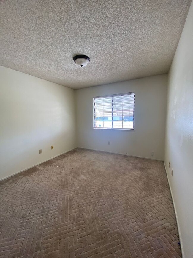 Building Photo - Get ready for Summer in this 3 BD 2 BA SW home with a Pool on a corner lot