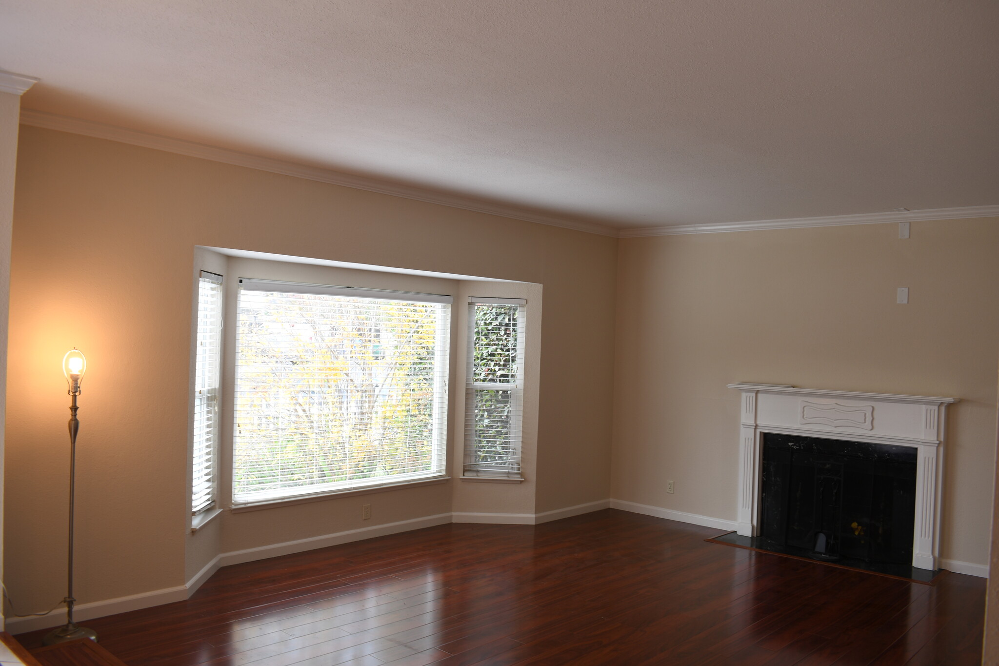 Building Photo - 1549 Brookvale Dr