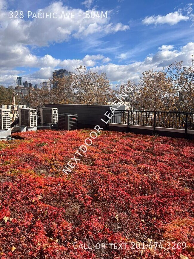 Building Photo - 328 Pacific Ave