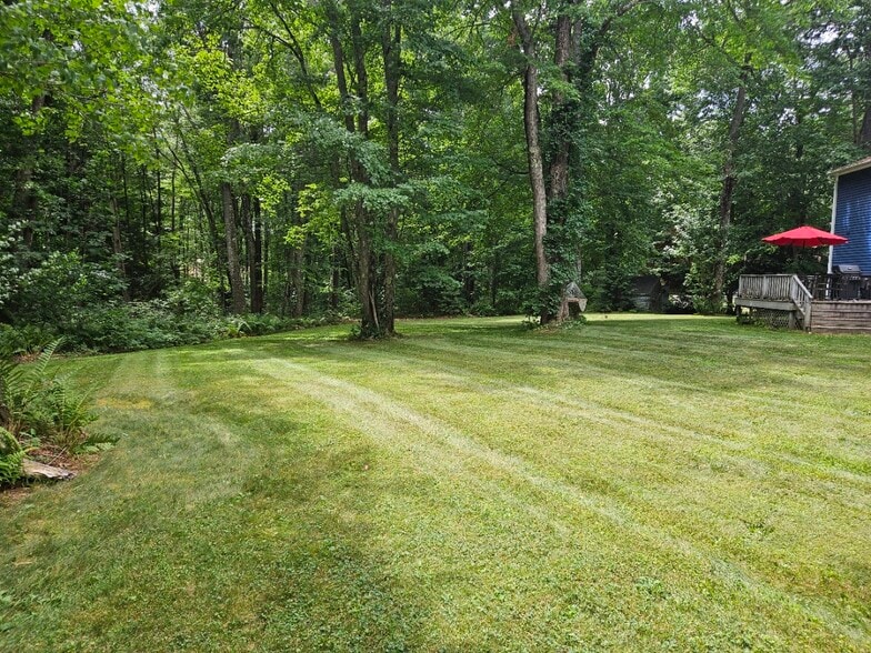 Yard - 11 Laurel Ln