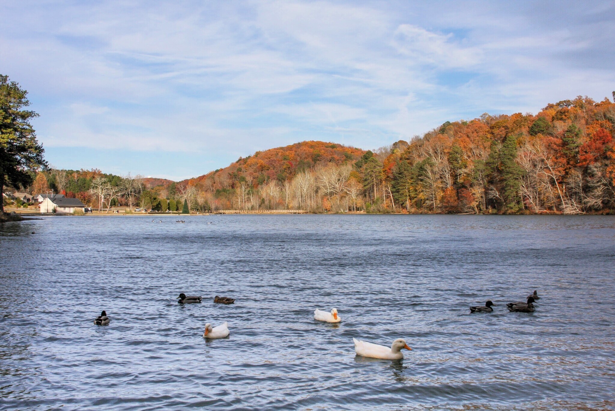 Building Photo - 165 Clover Ln