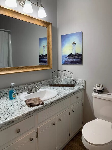 Hallway guest bathroom with large framed mirror, bath and shower combo - 113 Penny Ln