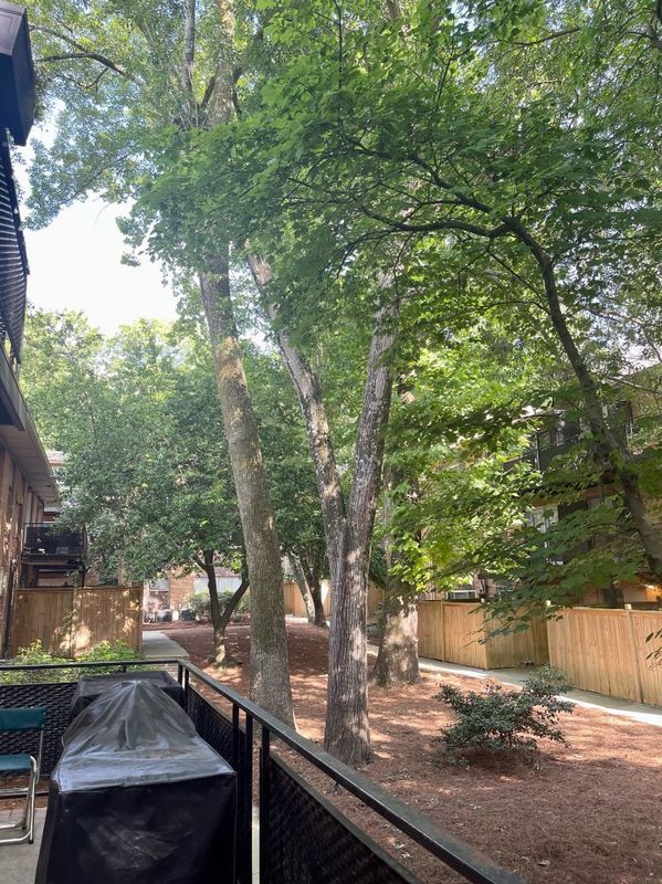 Building Photo - 115 Biscayne Dr NW