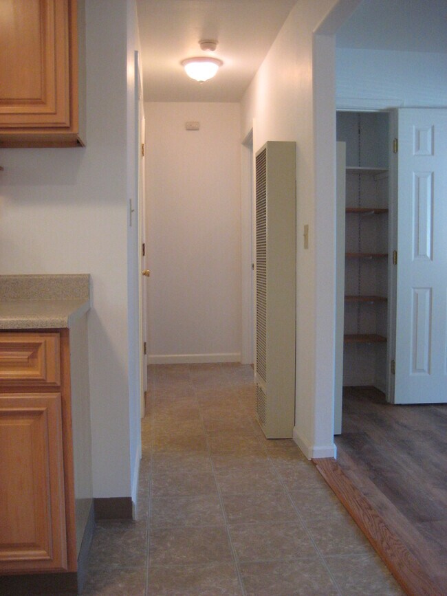Hallway leading to bedrooms and bath. Another closet in living roomseen on right. - 567 San Geronimo Valley Dr