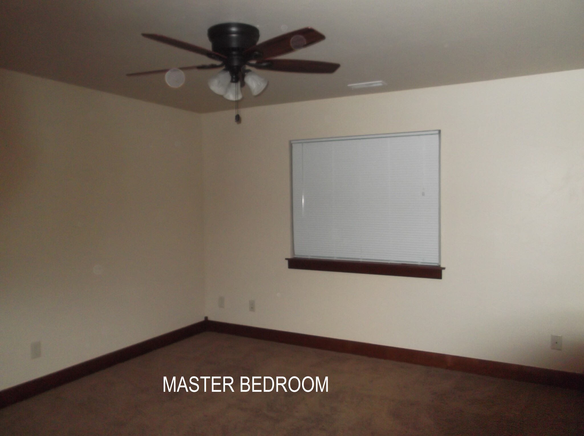 Master Bedroom - 734 S 23rd Ave