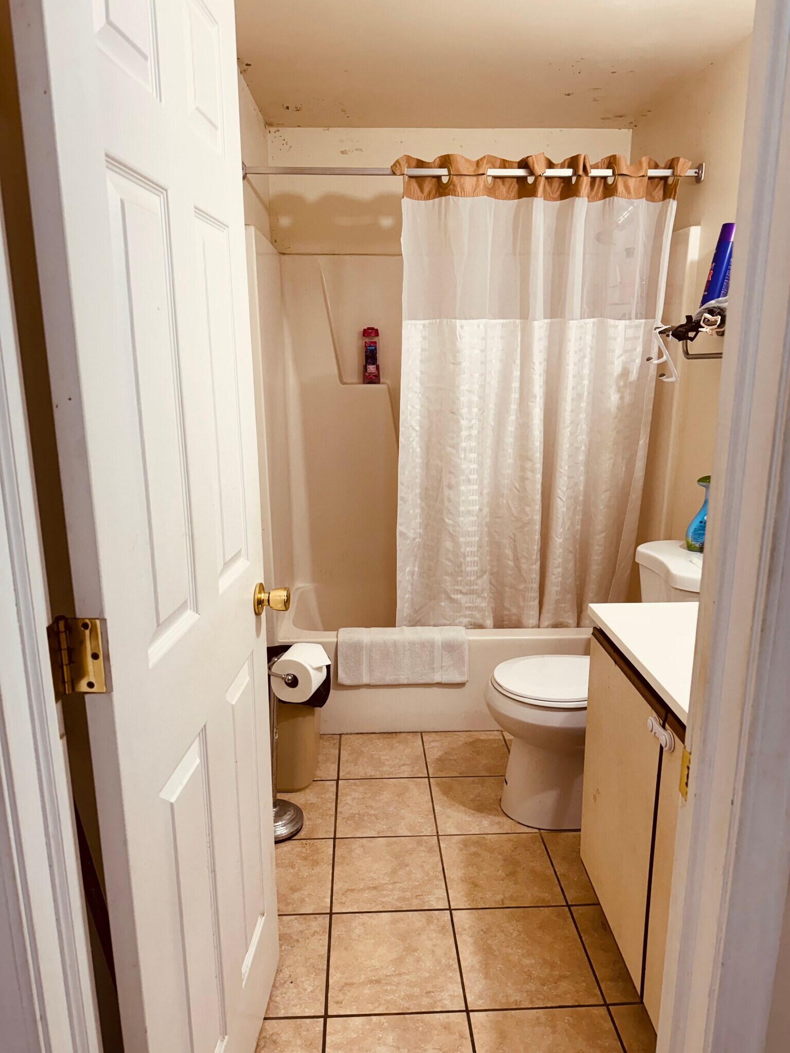 Building Photo - 39 Lemon Tree Ct