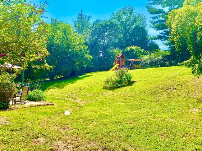 Building Photo - Amazing 4 Bedroom 2 Bathroom! Large Lot!  ...