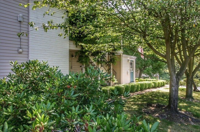 Primary Photo - Orchard Park Apartments