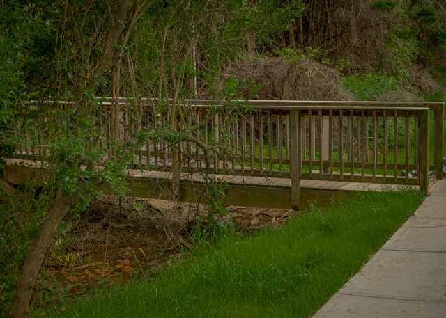 Building Photo - 544 Donatello Ave