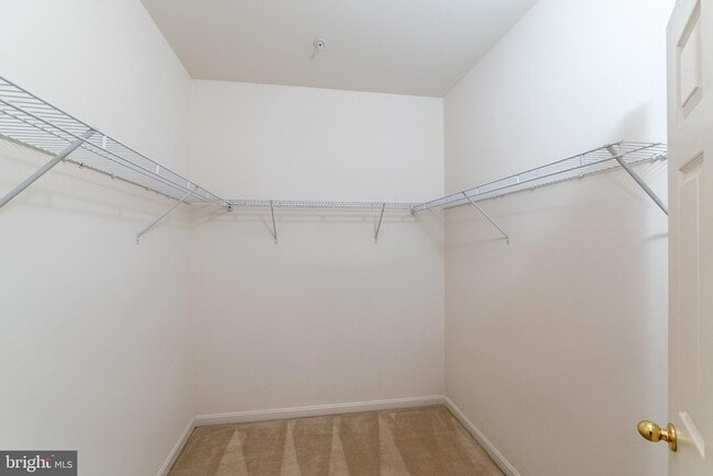 Building Photo - 415 Granville Ct