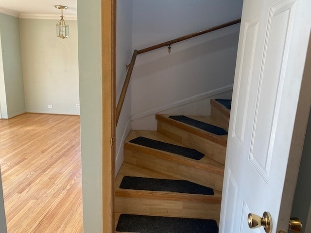 Building Photo - 312 N Reuter Dr