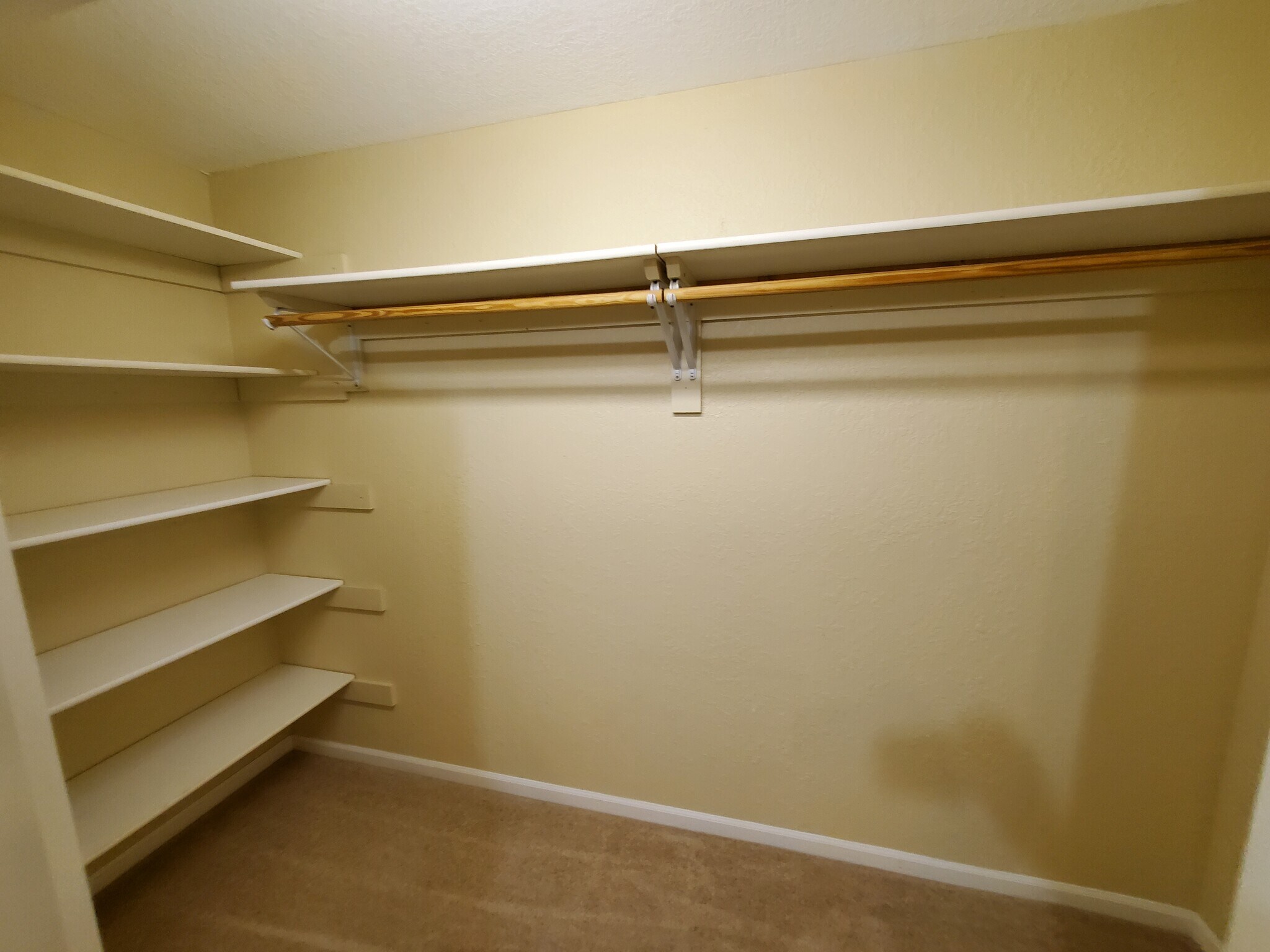 Basement Bedroom Closet - 5330 Godas Cir