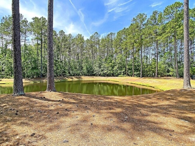 Building Photo - 4824 Willow Brook Ln