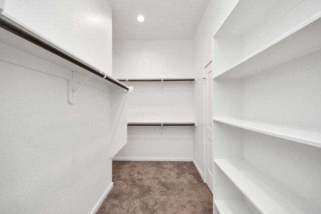 Building Photo - 23306 Ivory Sedge Trl