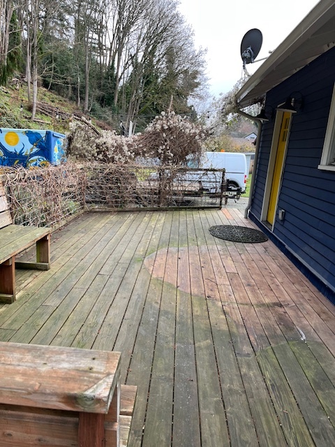 back deck - 810 E Magnolia Ave