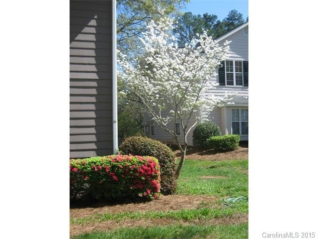 Building Photo - 5226 Amity Springs Dr