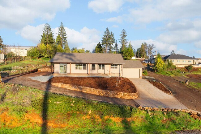 Building Photo - Labor of love, new construction 3-Bed 2-Ba...