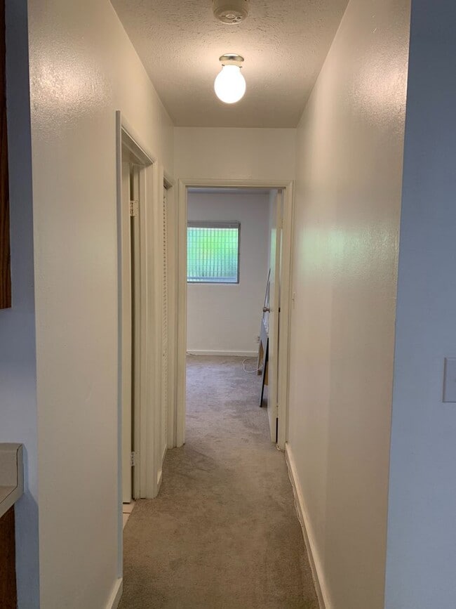 Building Photo - 1/1 Downstairs unit in Royal Summit