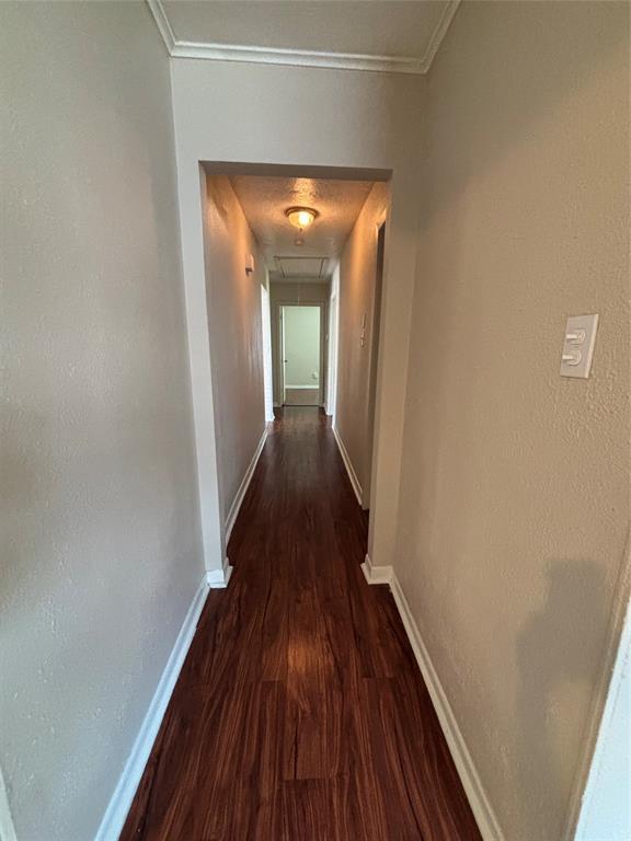 Building Photo - 3208 Suiter Way