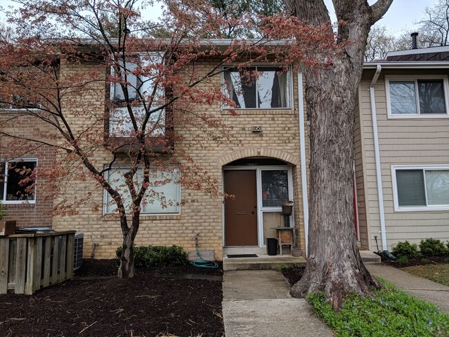 Building Photo - 858 New Mark Esplanade