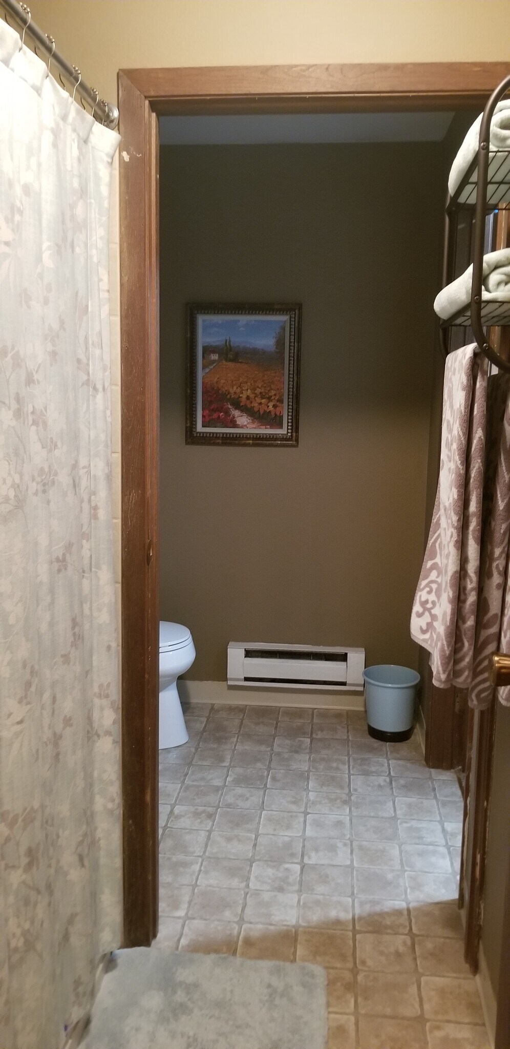 Shower area's view to main bath - 5325 Brody Dr