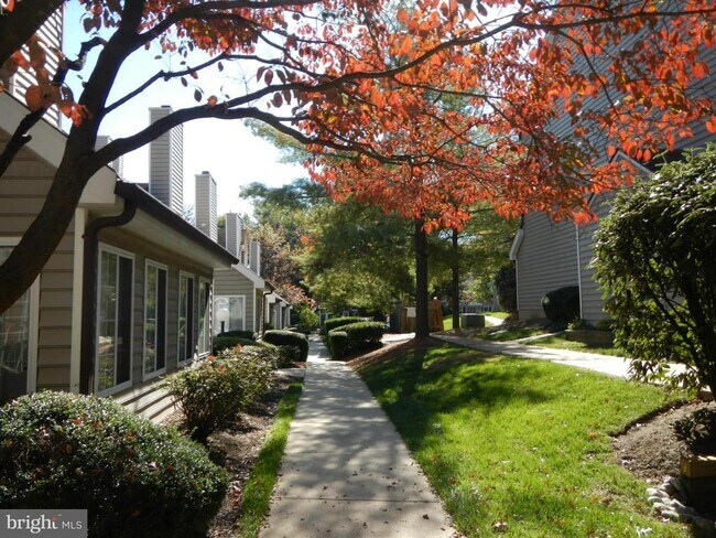 Building Photo - 10817 Amherst Ave