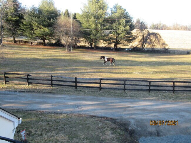 view from your door - 6627 Cherry Hill Rd