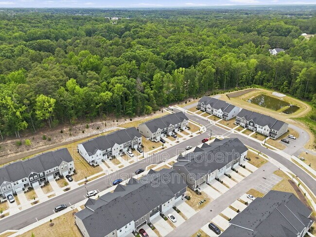 Building Photo - 1529 Foal Run Trl