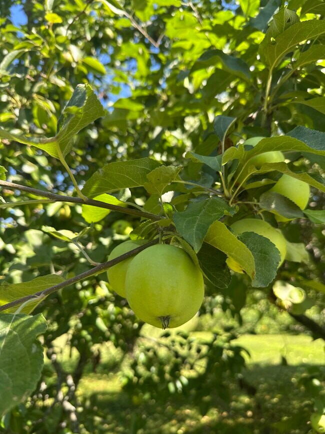 Building Photo - 967 Meadow Rd