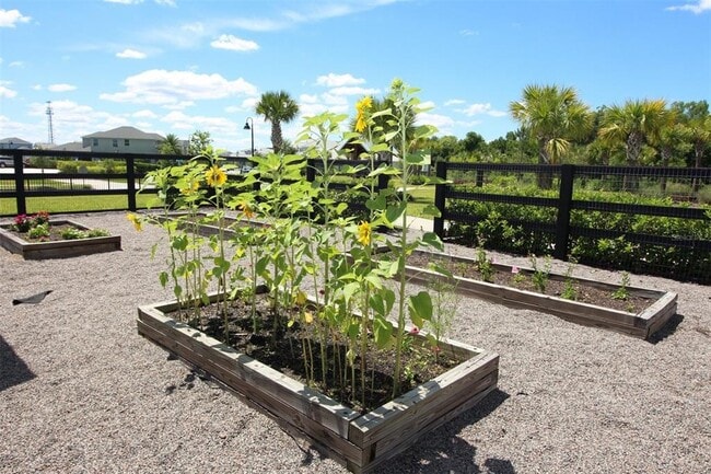 Building Photo - 12003 Theme Alley