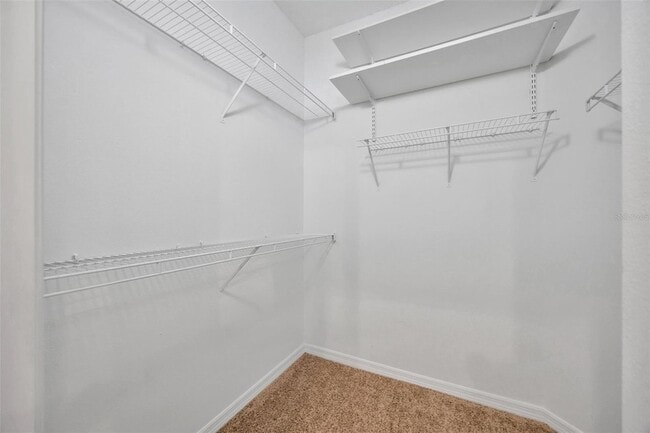 Building Photo - 5809 Fishhawk Ridge Dr