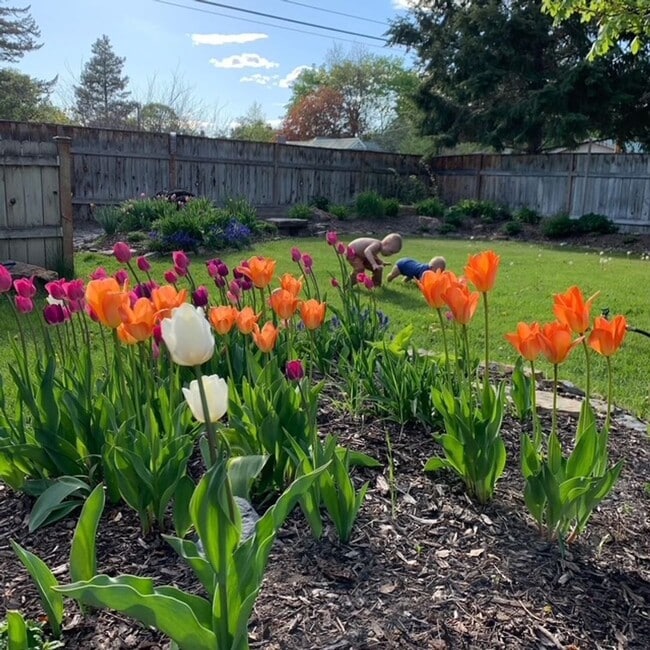 Building Photo - Charming 3 Bedroom, 2 Bath House on the East Side of Kalispell