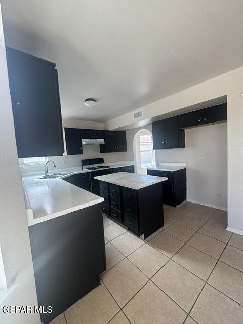 Building Photo - 404 Desert Chicory St