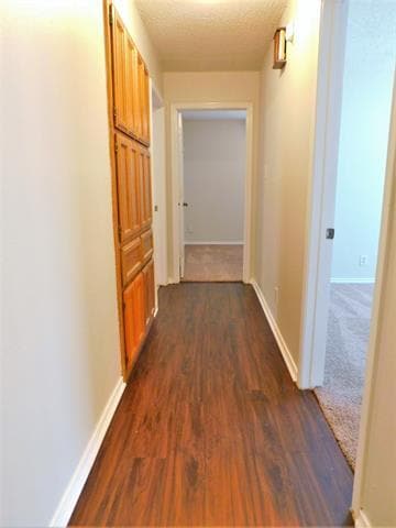 Building Photo - 3008 Anysa Ln