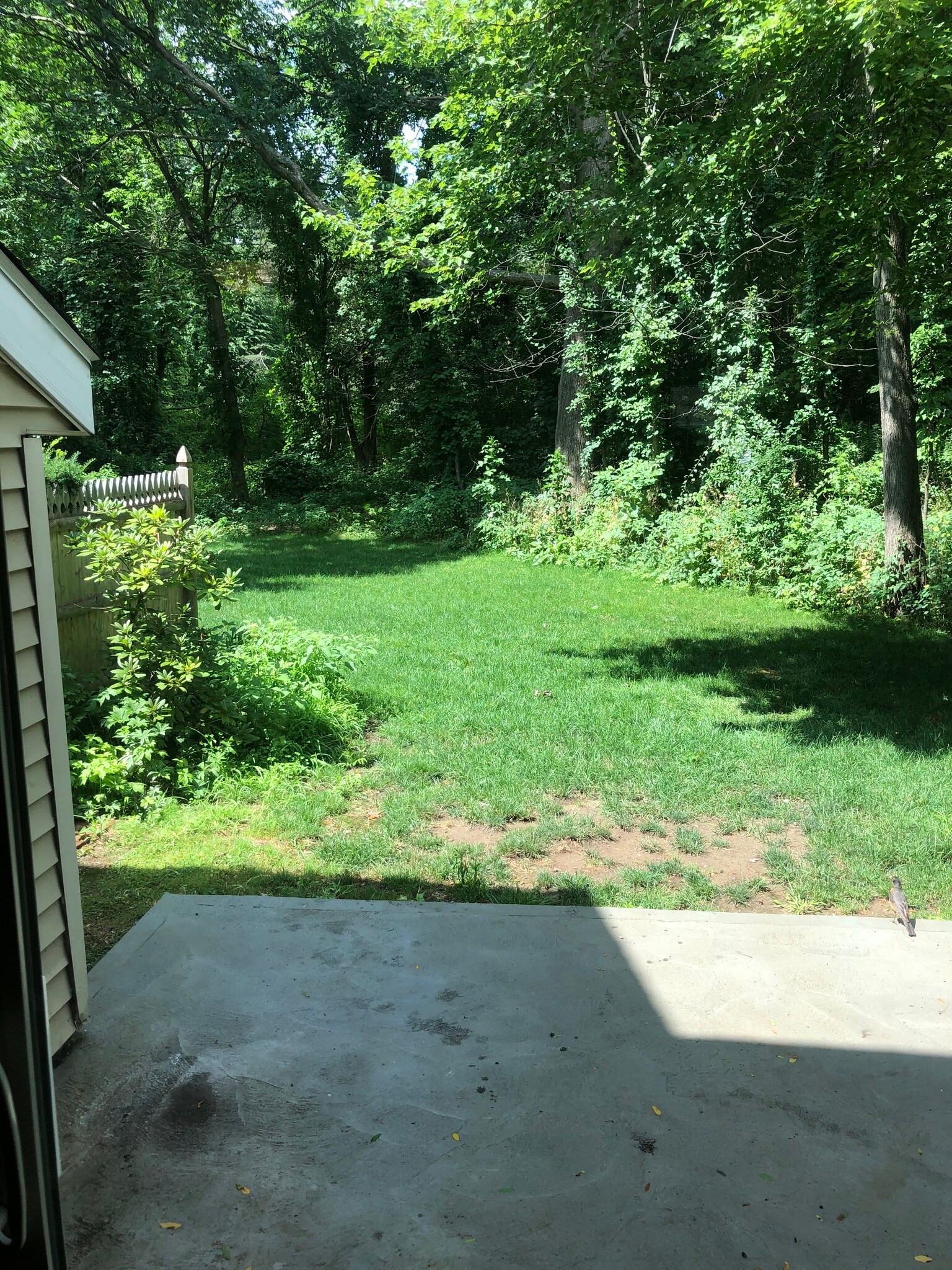 Private Back Yard with Patio - 13 Wilton Ct